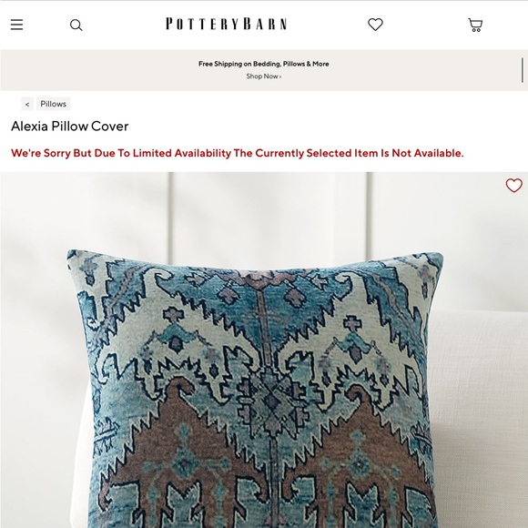 Pottery Barn Soft Velvet Alexia Pillow Cover - Picture 10 of 10
